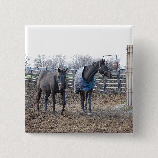 Barn Farm Horses Pinback Button (Front)