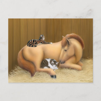 Barn Friends Postcard