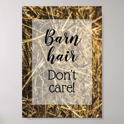 Barn Hair Dont Care Funny Quote Poster