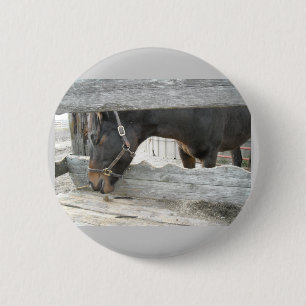 Barn Horse Humor Button