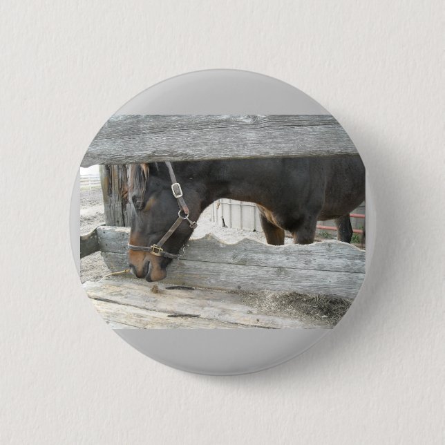 Barn Horse Humor Button (Front)
