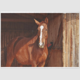 barn horse tissue paper