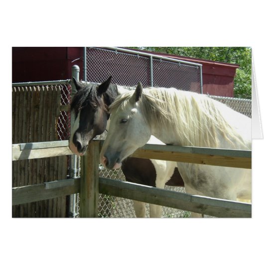 Barn Horses Cards (Front Horizontal)