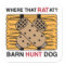 BARN HUNT DOG