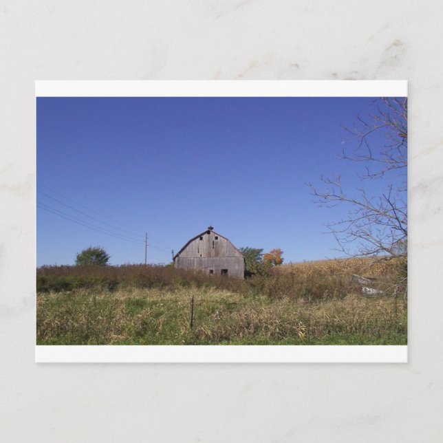 Barn in Fall - Large Postcard (Front)