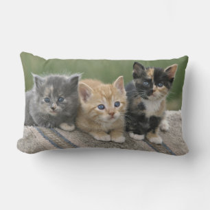 Barn Kittens on a Horse Blanket Lumbar Pillow