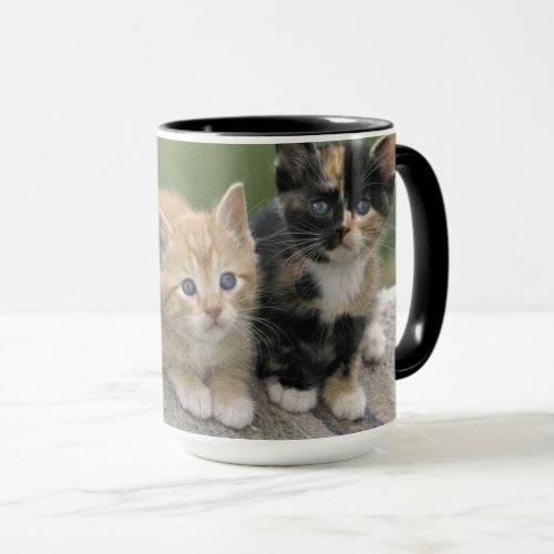 Barn Kittens on a Horse Blanket Mug