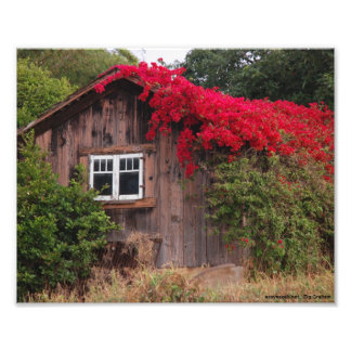 Barn of color photo print