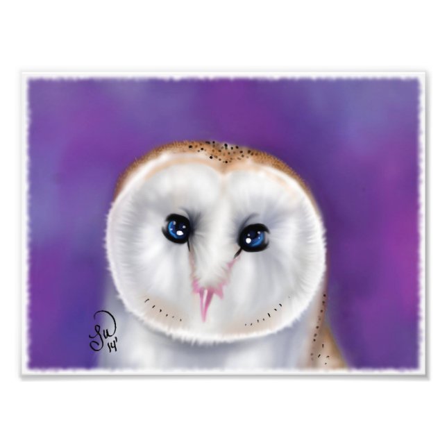 barn ow photo print (Front)