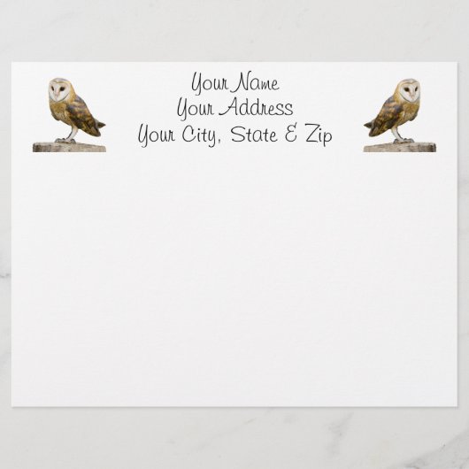 Barn Owl (Front)