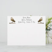 Barn Owl (Standing Front)