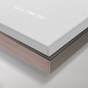 Barn Owl 14x14 Stretched Canvas Giclée Print