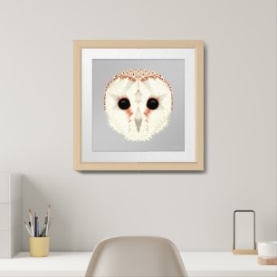 Barn Owl 16x16 Print