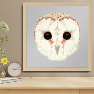 Barn Owl 24x24 Print