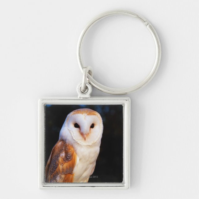 Barn Owl 2 Keychain (Front)