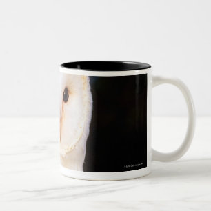 Barn Owl 2 Two-Tone Coffee Mug