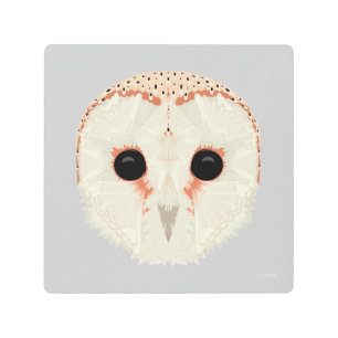 Barn Owl 8x8 Metal Print
