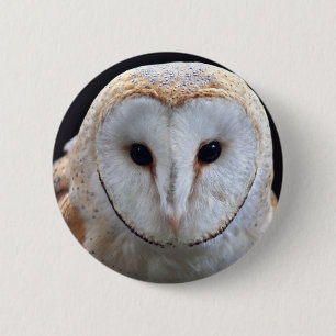 Barn Owl Badge Button
