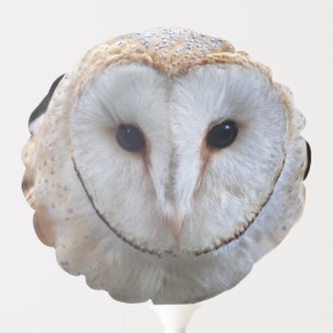 Barn Owl Balloon