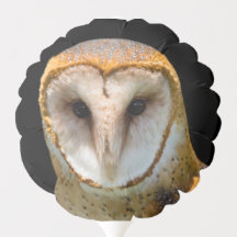 Barn Owl Balloon