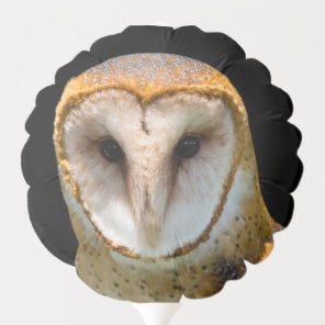 Barn Owl Balloon