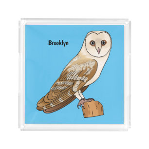 Barn owl bird cartoon illustration acrylic tray