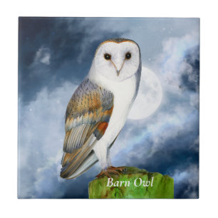 Barn Owl Bird Watercolor Painting Ceramic Tile