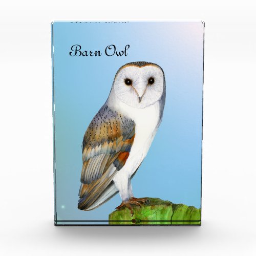 Barn Owl Bird Watercolor Painting Photo Block
