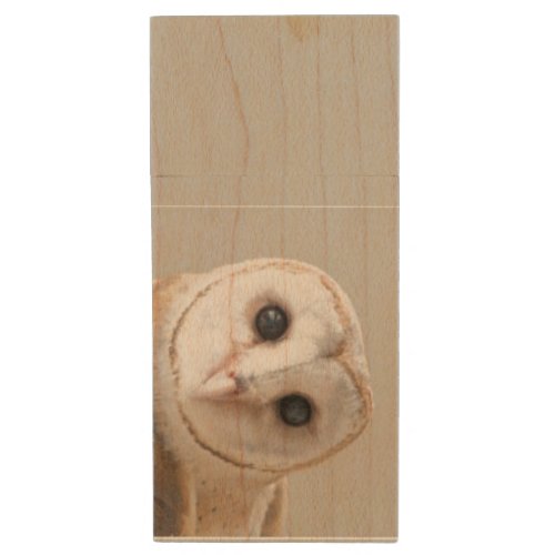 Barn Owl Bird Wildlife Nature Animal Art  Wood Flash Drive