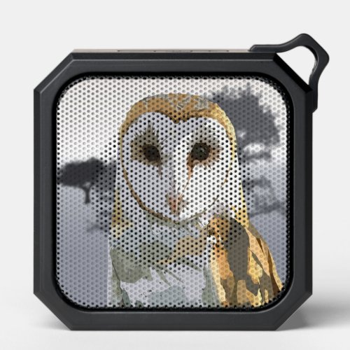 Barn Owl Bluetooth Speaker