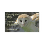 Barn Owl Business Card