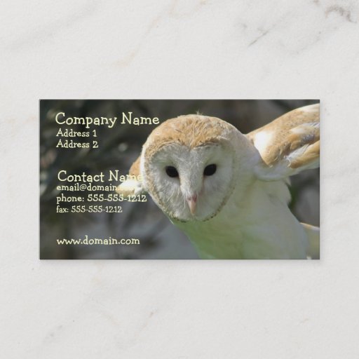 Customizable Barn Owl Business Card