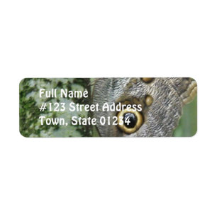 Barn Owl Butterfly Mailing Label
