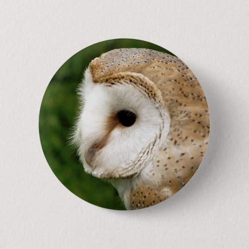 BARN OWL BUTTON