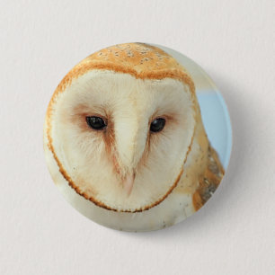 Barn owl button