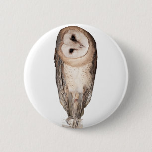 Barn owl button