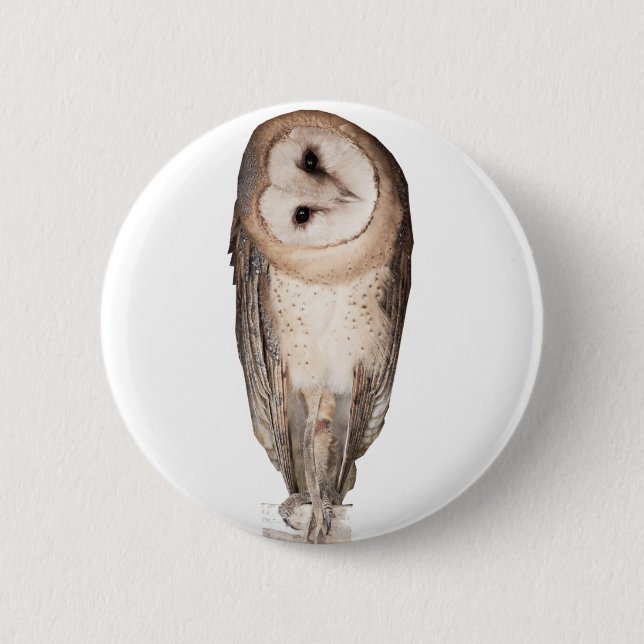 Barn owl button (Front)