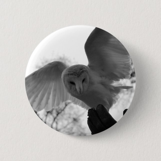 Barn Owl Button (Front)