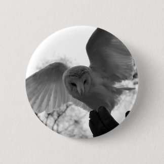 Barn Owl Button