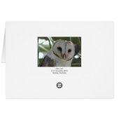 Barn Owl Cards (Back Horizontal)