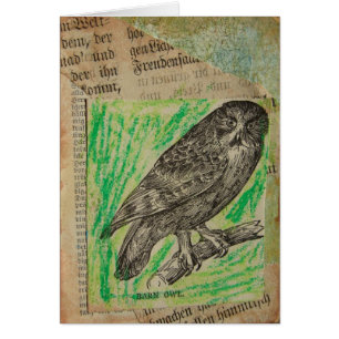 Barn Owl Cards