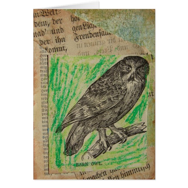 Barn Owl Cards (Front)