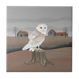 Barn Owl Ceramic Tile