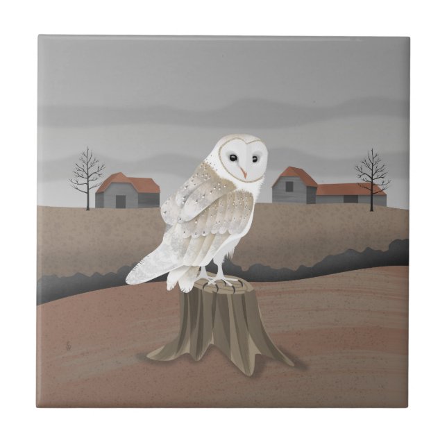 Barn Owl Ceramic Tile (Front)