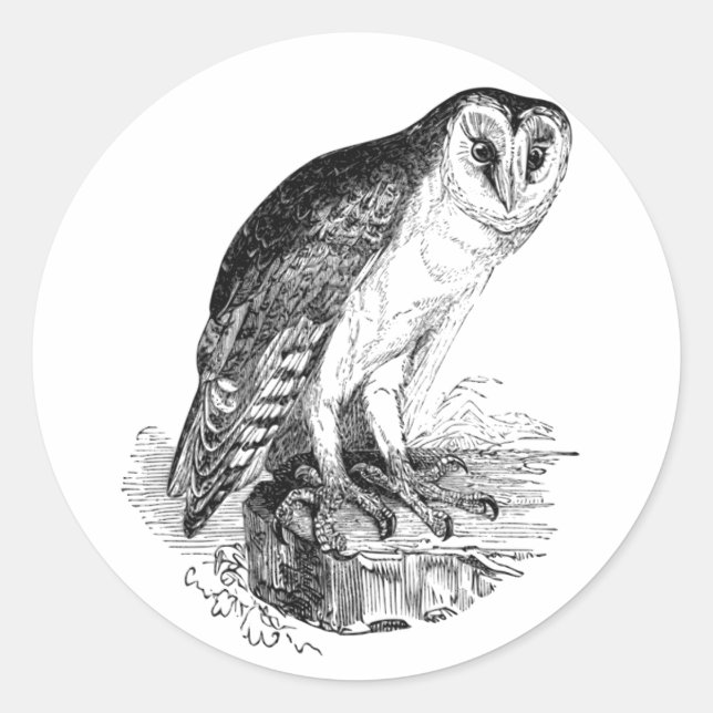Barn Owl Classic Round Sticker (Front)