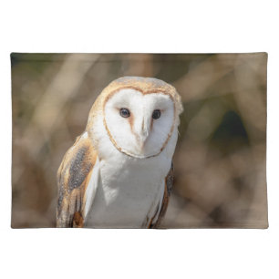 Barn Owl Cloth Placemat
