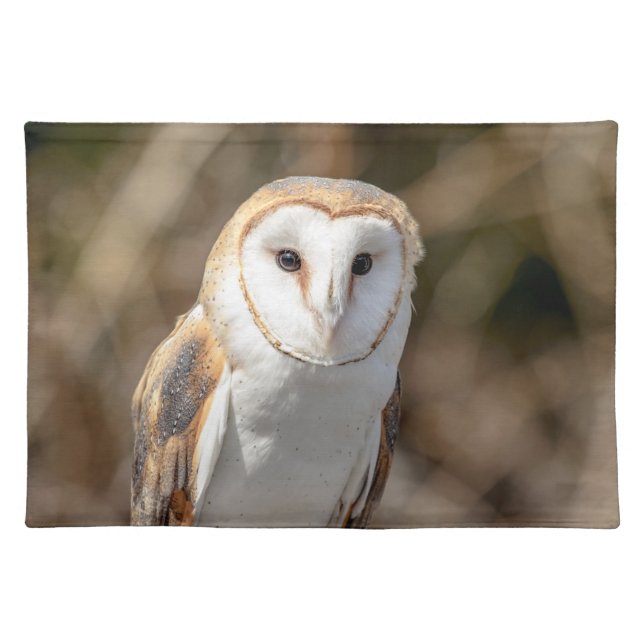 Barn Owl Cloth Placemat (Front)