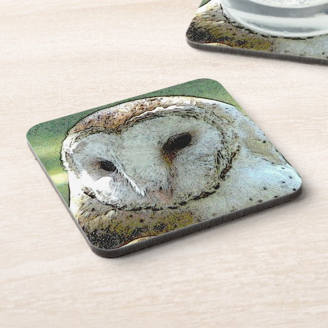 Barn Owl Coaster Set (Left Side)