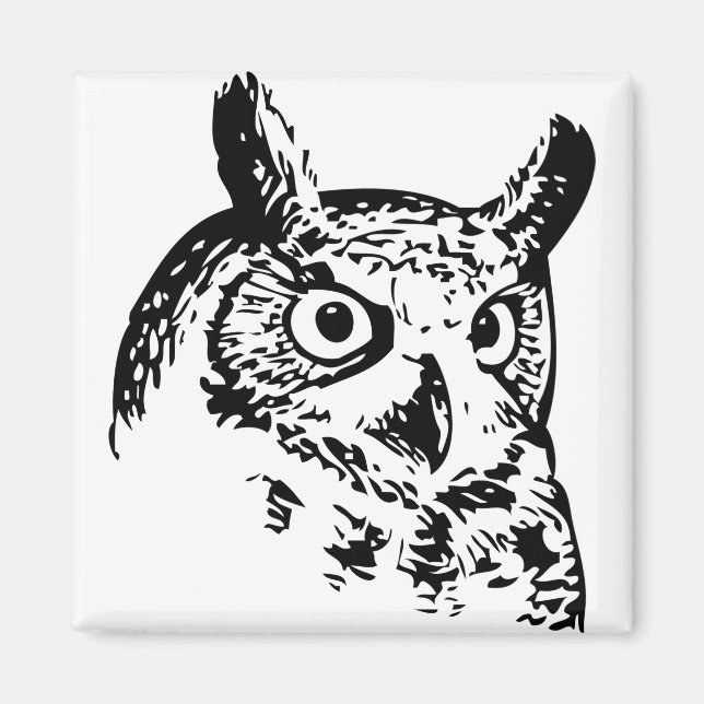 barn owl,cute owl,funny owl,baby owl,snowy owl,owl magnet (Front)