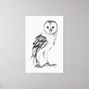Barn Owl - Drawing In Black Pen Canvas Print